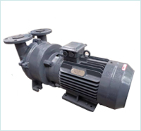 2BV型水环式真空泵